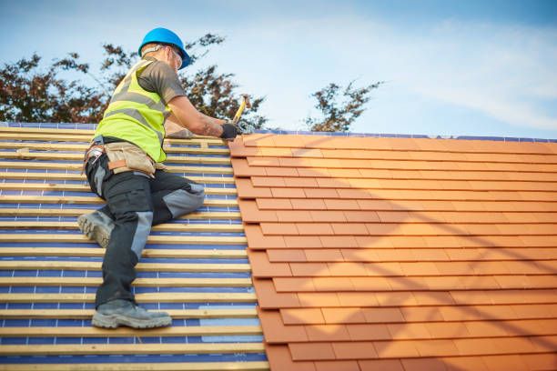 Best Steel Roofing  in Pleasant Garden, NC